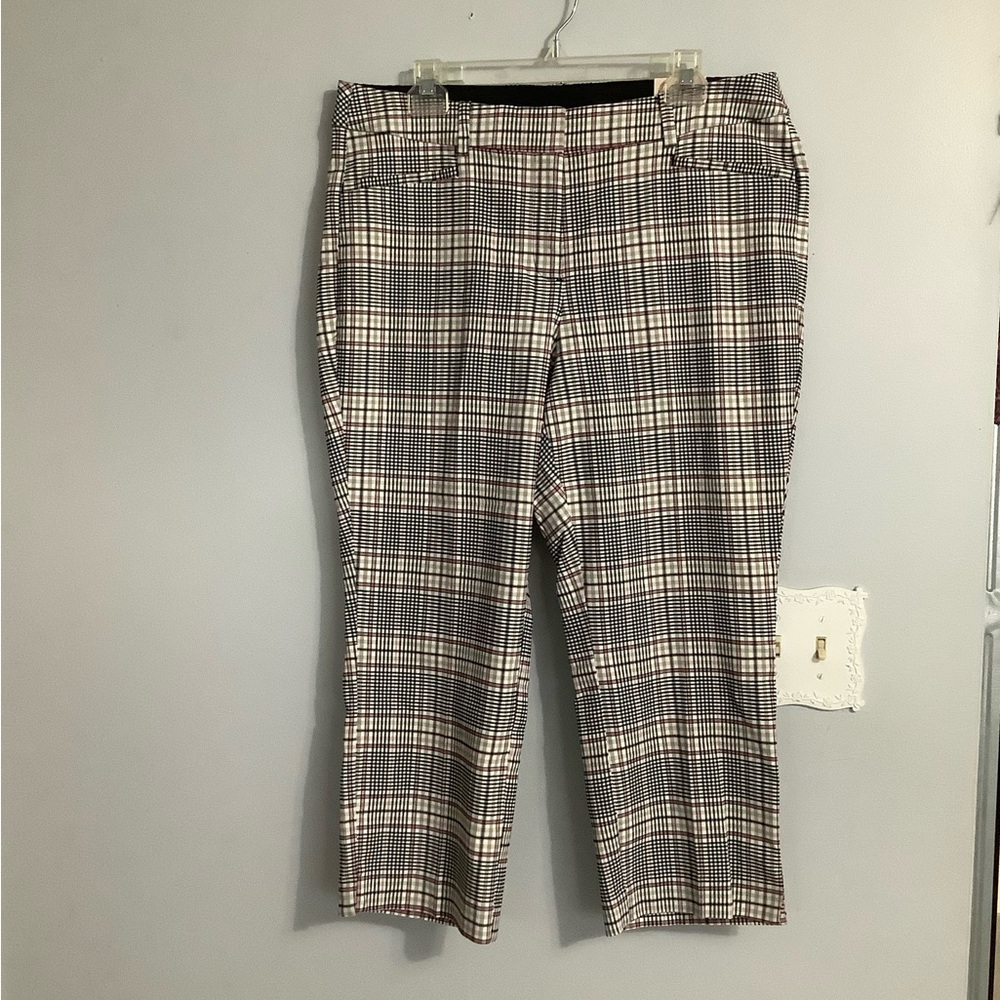 Lane Bryant  Capris -